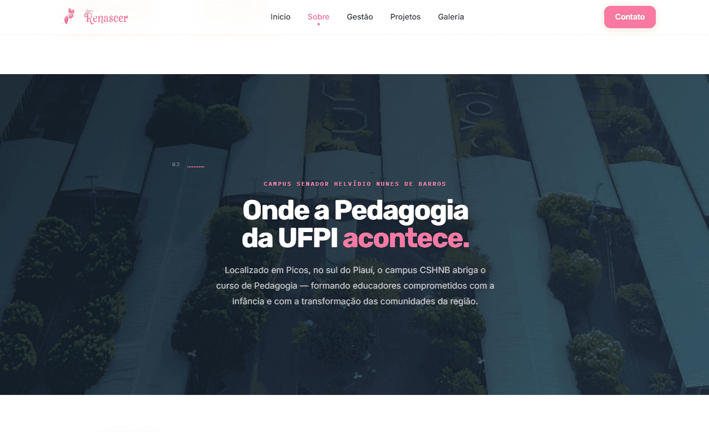 CAPE UFPI - tela 3